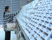 SSA丝社金卡戴珊21分钟视频视频爱奇艺搜索